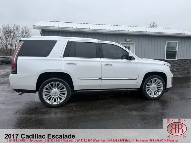 300966h.jpg
