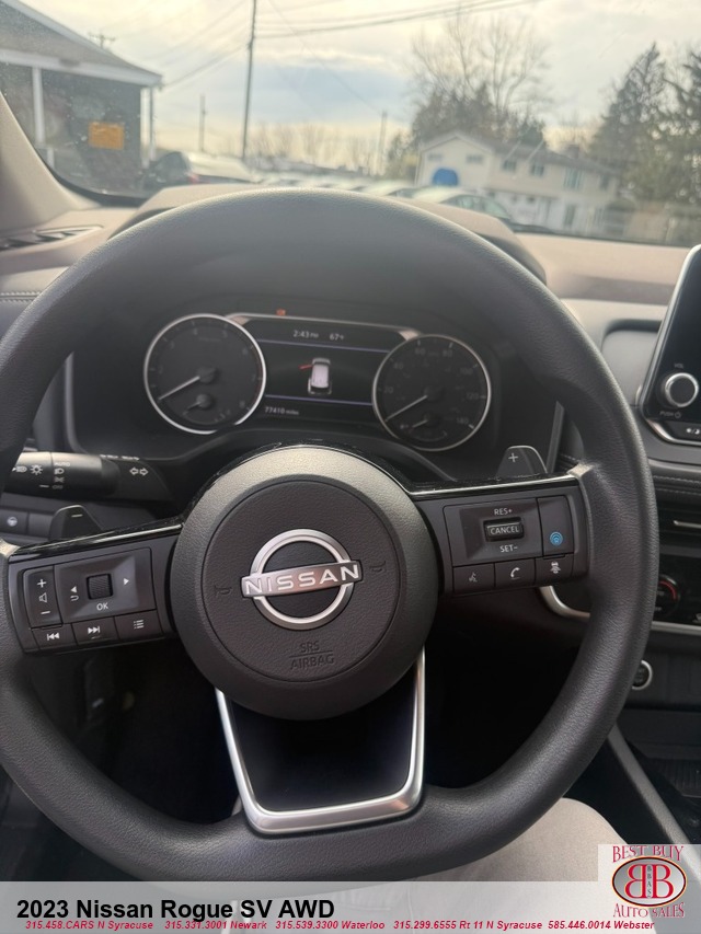 494142i.jpg